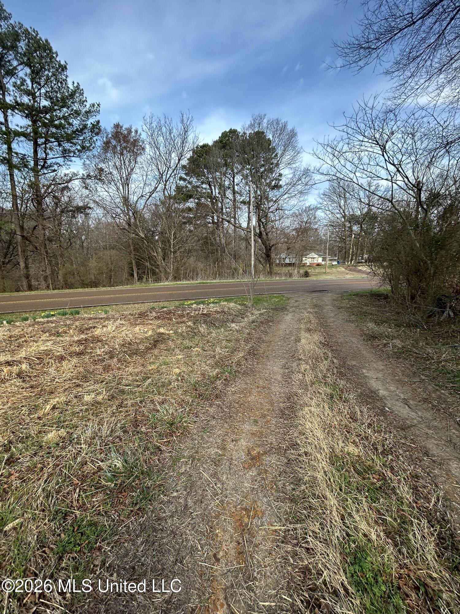 9943 West Commerce Street Hernando, MS 38632 - Photo 3 of 6 IMG_1638