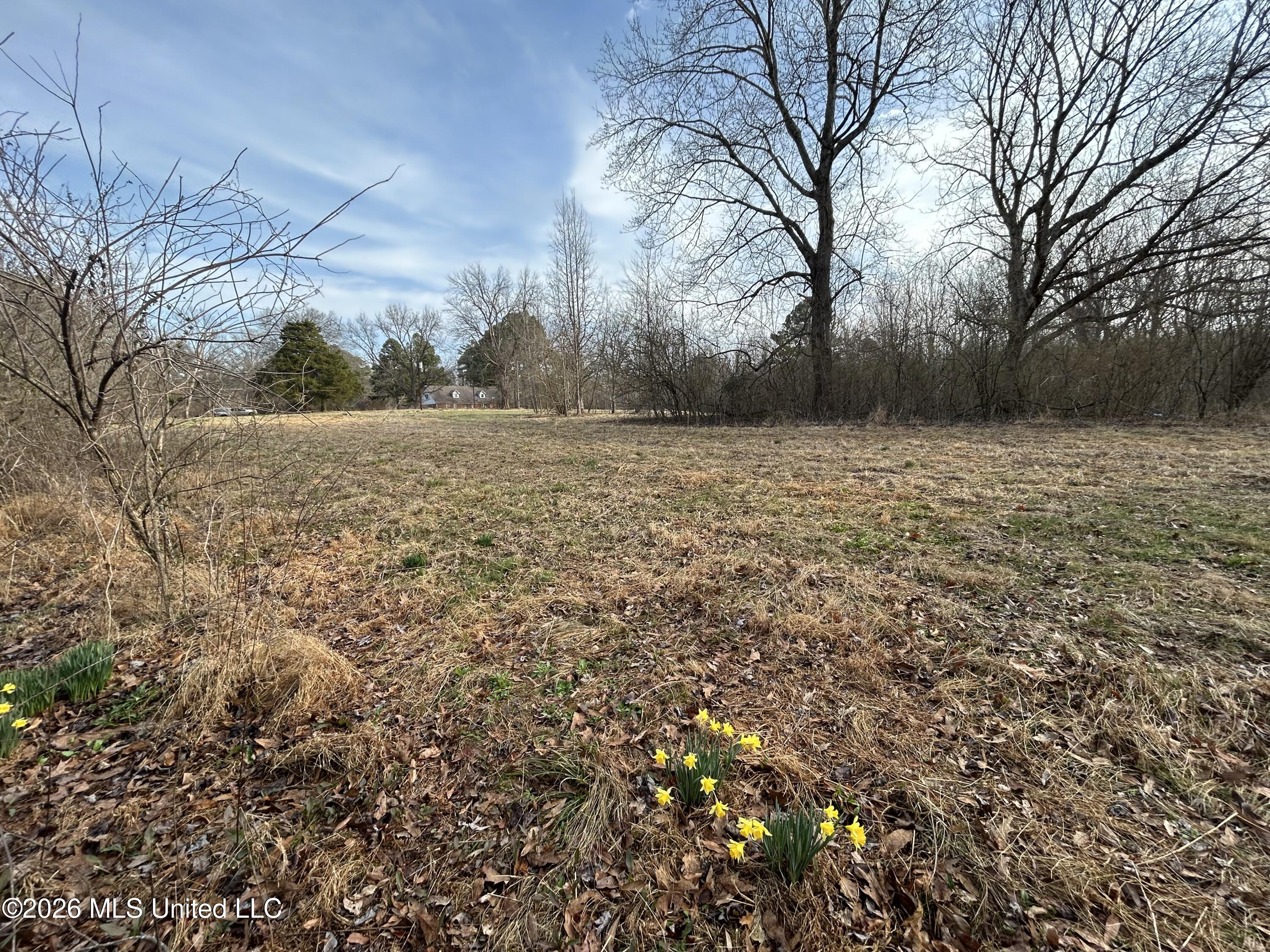 9943 West Commerce Street Hernando, MS 38632 - Photo 6 of 6 IMG_1642