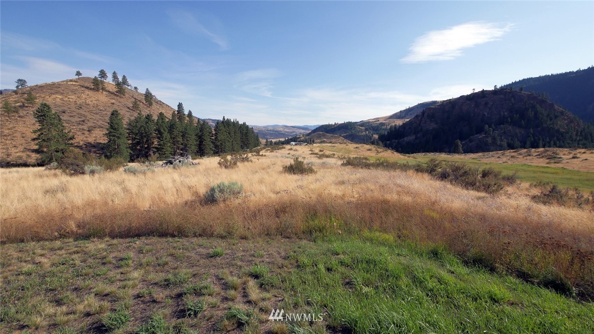 49 Doe Haven Road Twisp, WA 98856 - Photo 8 of 25