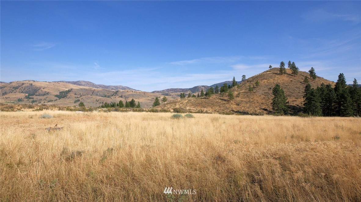 49 Doe Haven Road Twisp, WA 98856 - Photo 9 of 25