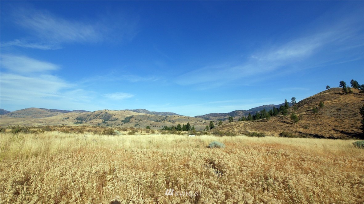 49 Doe Haven Road Twisp, WA 98856 - Photo 10 of 25