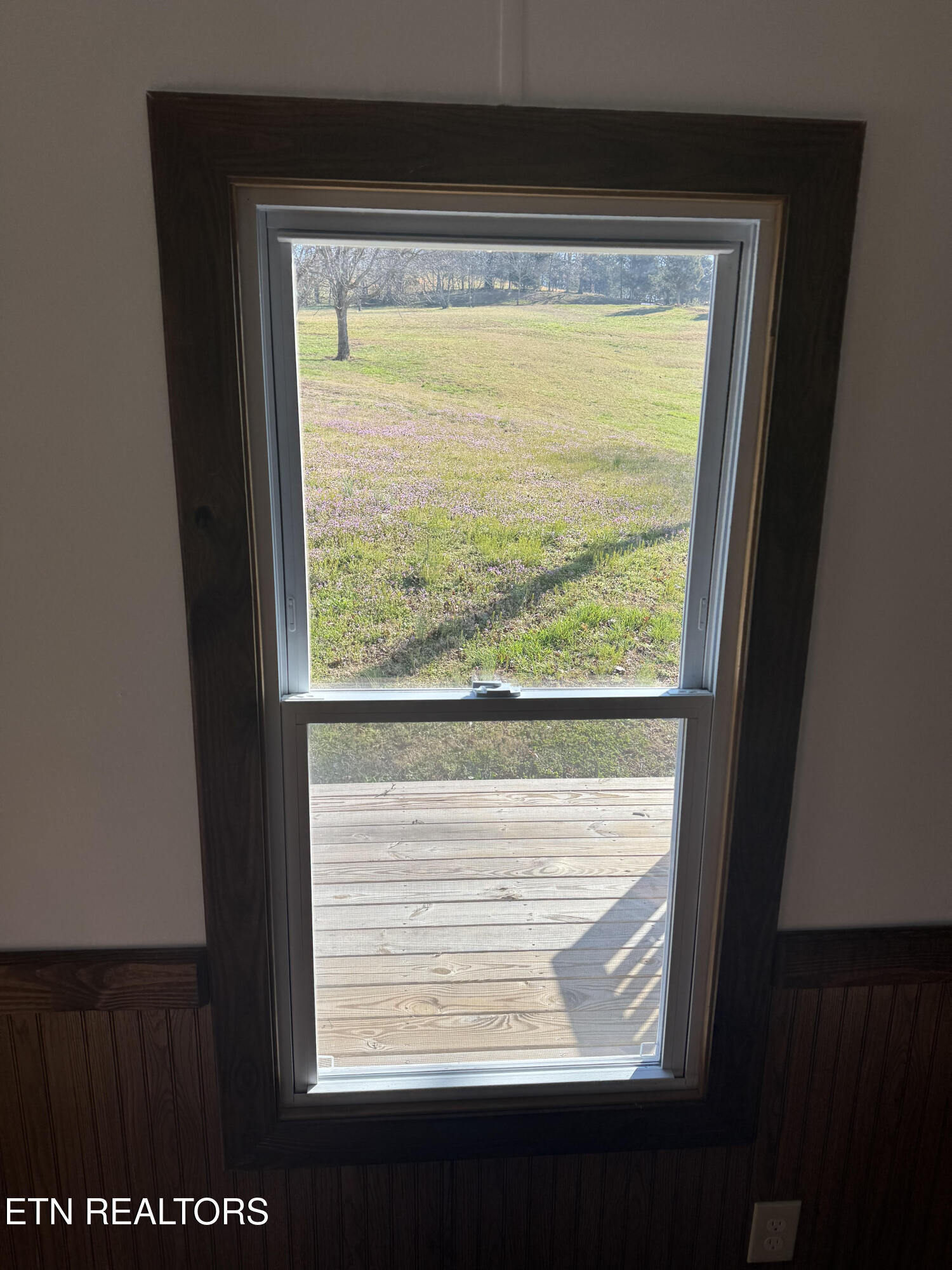 215 Trigonia Road Greenback, TN 37742 - Photo 18 of 28 unnamed (18)