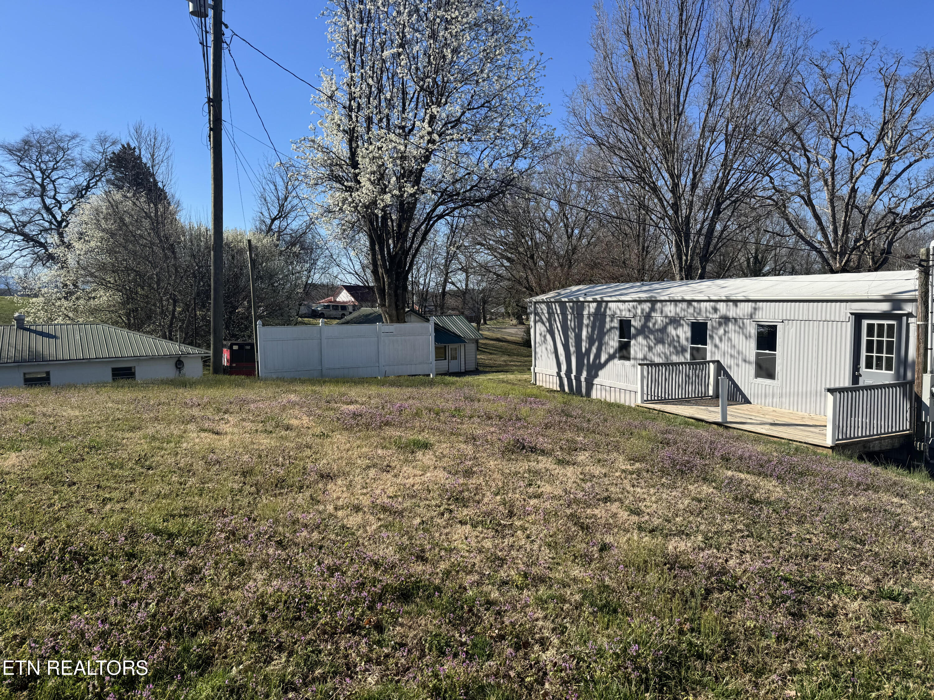 215 Trigonia Road Greenback, TN 37742 - Photo 8 of 28 unnamed (7)