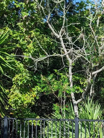 $1,949 | 2623 Redford Way, Wesley Chapel, FL 33544