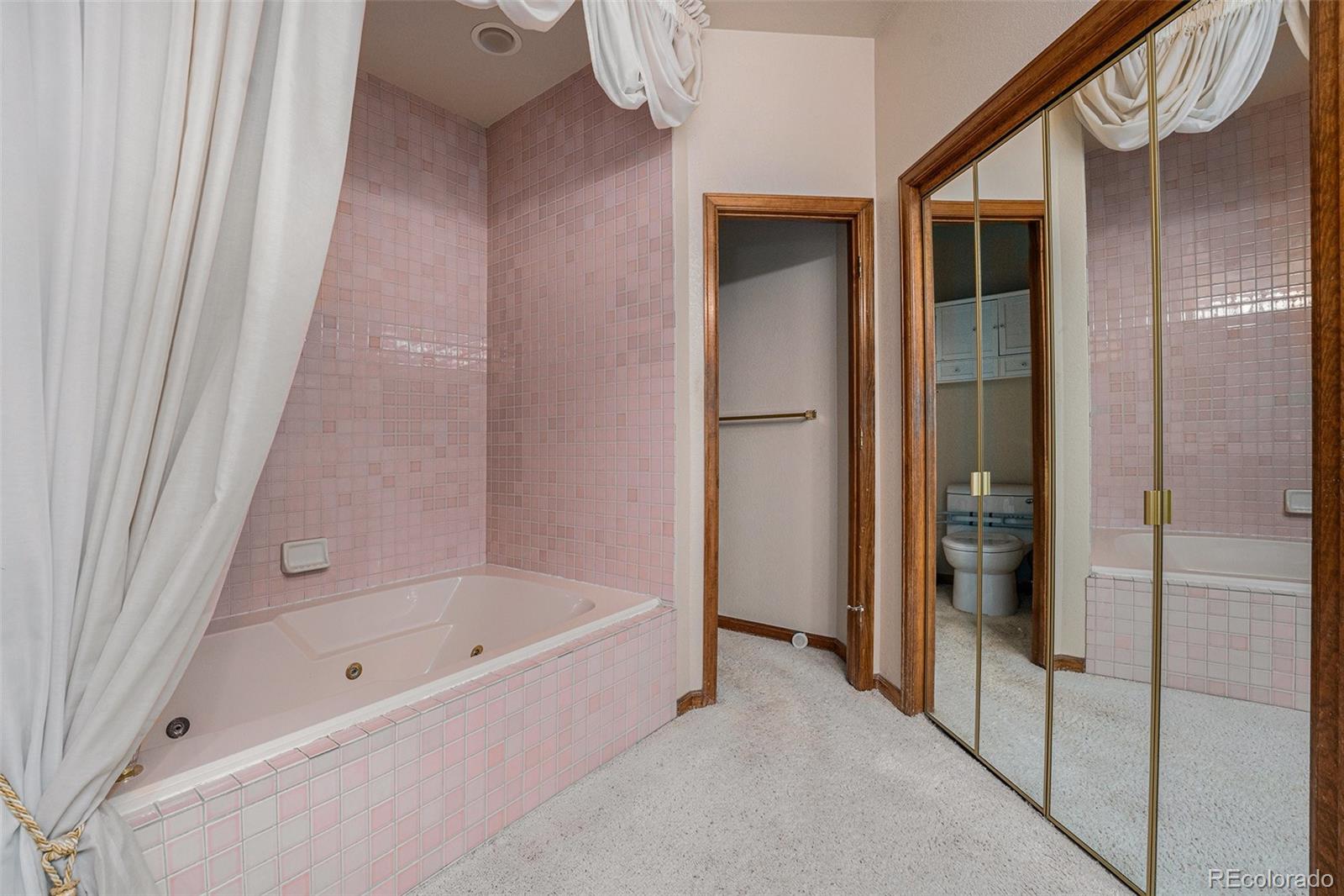 9873 Greensview Circle Lone Tree, CO 80124 - Photo 20 of 27 a bathroom with bathtub and shower