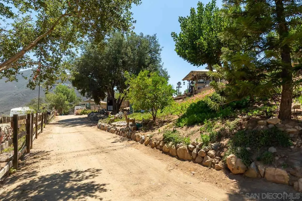2029 Willow Glen Road Fallbrook, CA 92028 - Photo 21 of 46 a view of a yard with plants and trees
