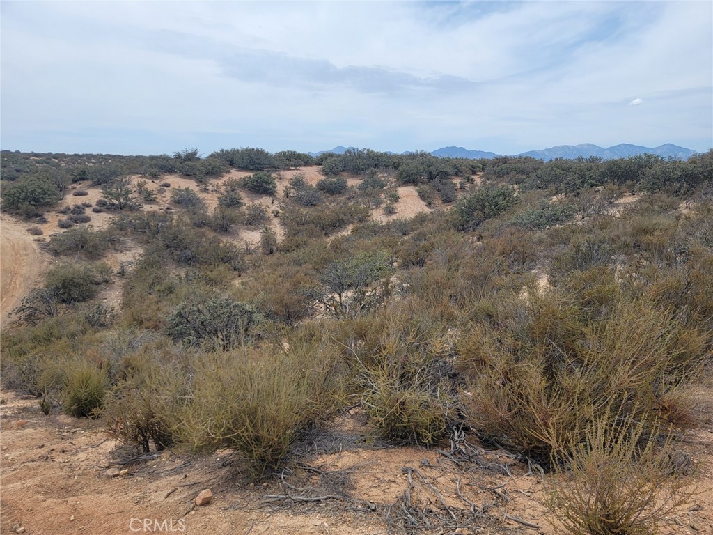 0 Daisy Road Oak Hills, CA 92344 - Photo 13 of 15 a view of a dry yard