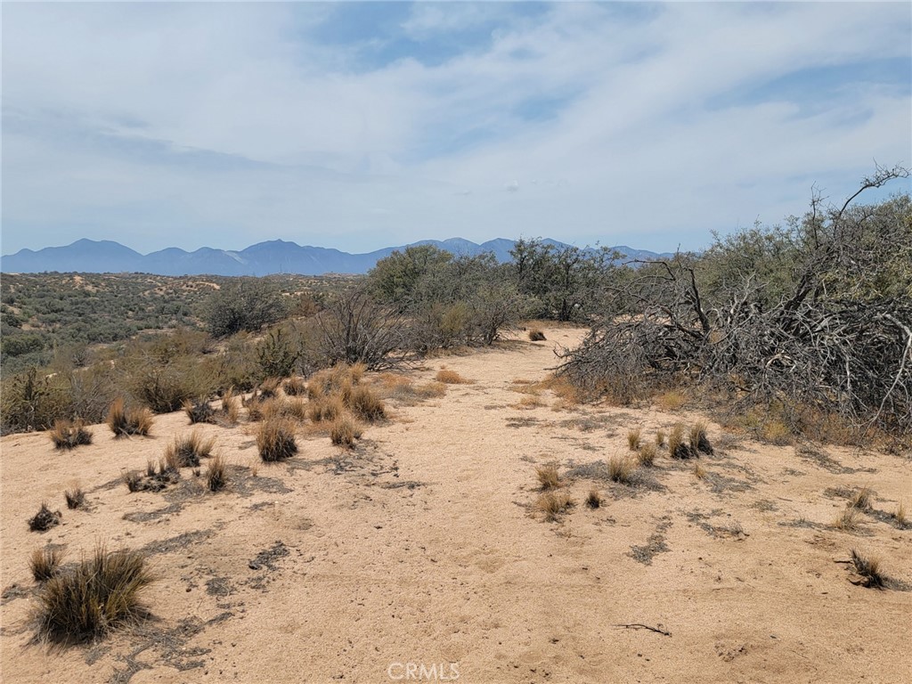 0 Daisy Road Oak Hills, CA 92344 - Photo 5 of 15 a view of a covered with snow in the background