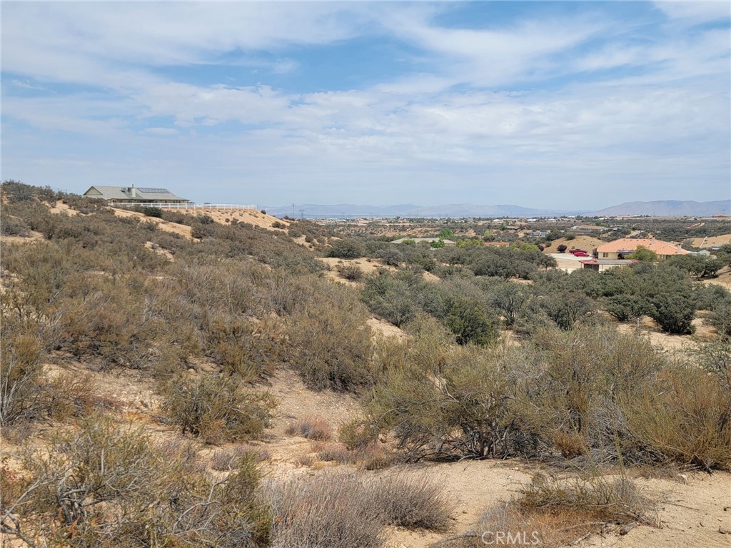 0 Daisy Road Oak Hills, CA 92344 - Photo 6 of 15 an aerial view of houses covered in trees