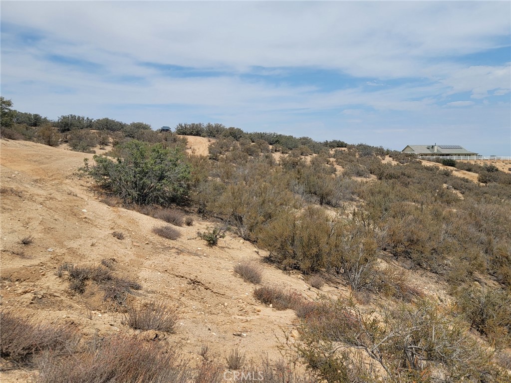0 Daisy Road Oak Hills, CA 92344 - Photo 7 of 15 an aerial view of mountain with trees