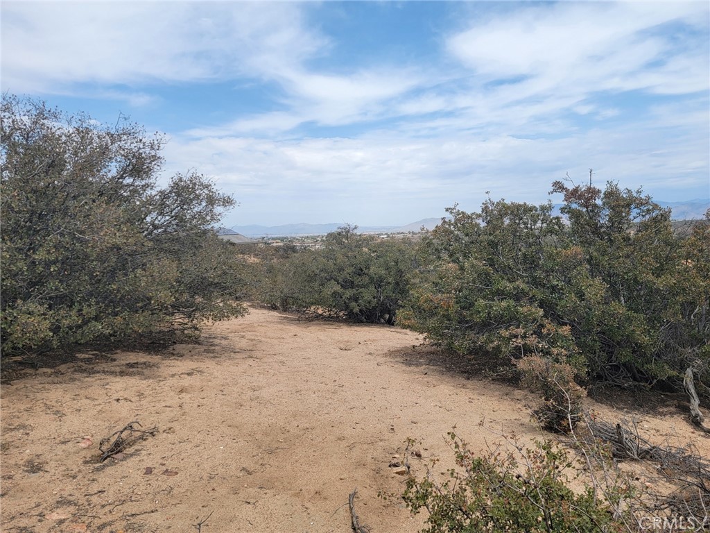 0 Daisy Road Oak Hills, CA 92344 - Photo 9 of 15 a view of mountain view with trees