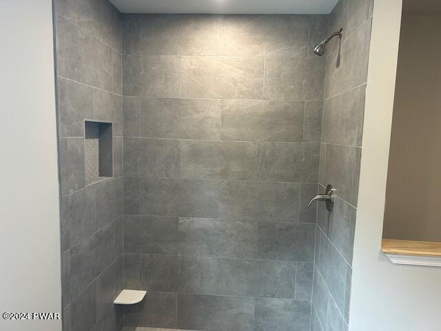 441 Northgate Road Lake Ariel, PA 18436 - Photo 17 of 61 Primary Bathroom Shower