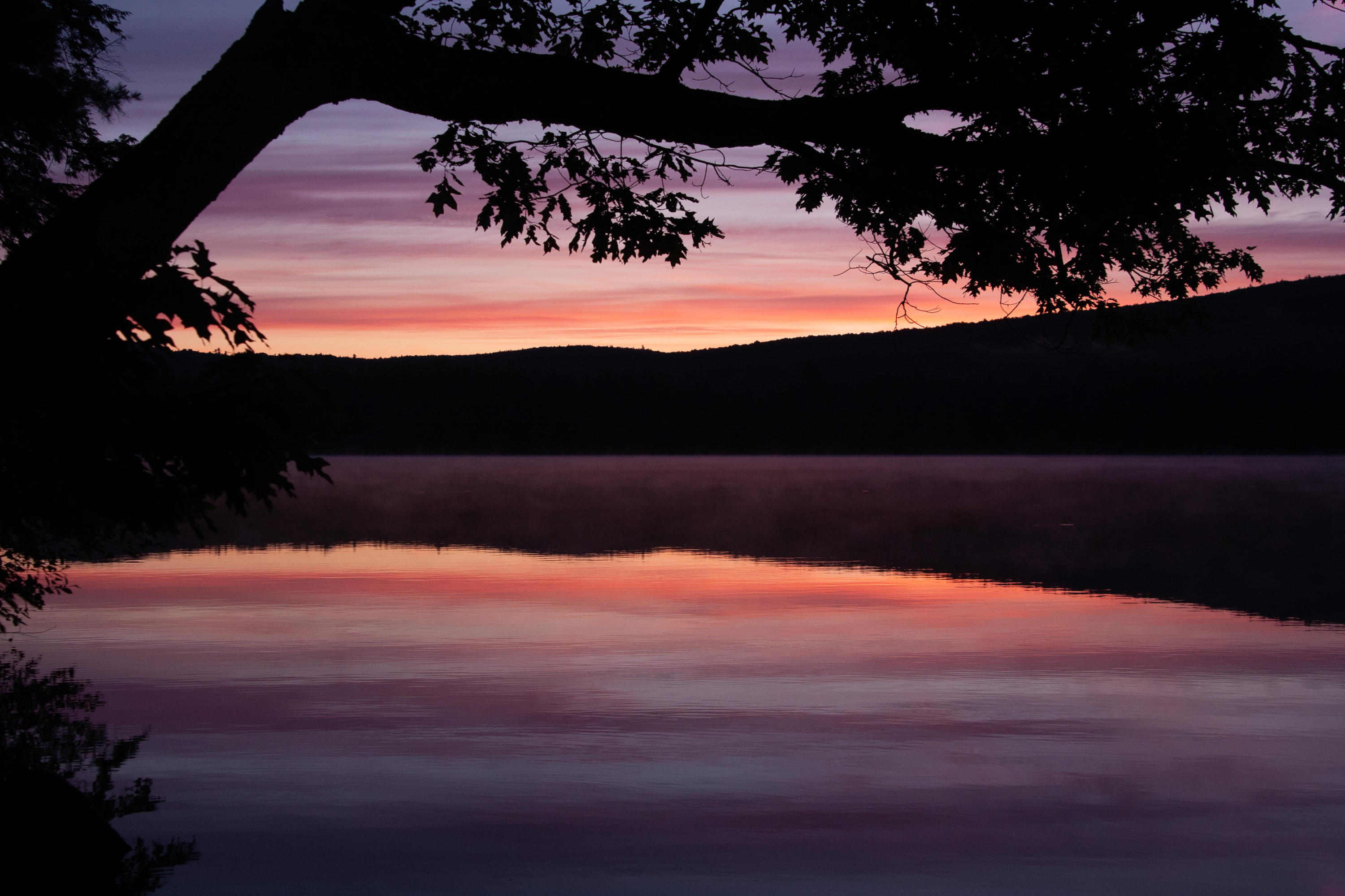 46 Vienna Shores Road Vienna, ME 04360 - Photo 2 of 71 Dawn