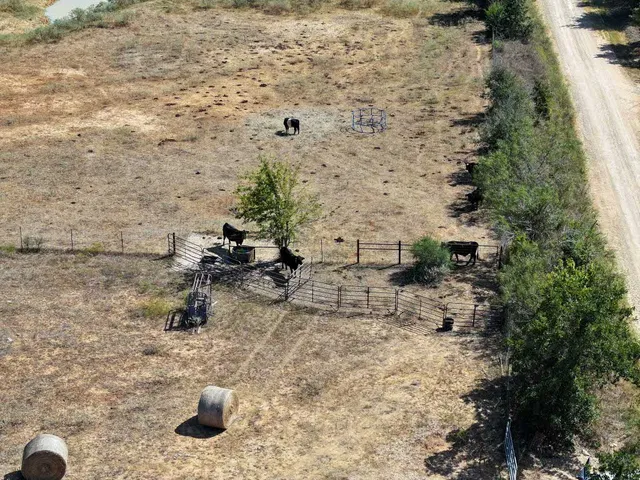 a view of a backyard of a house