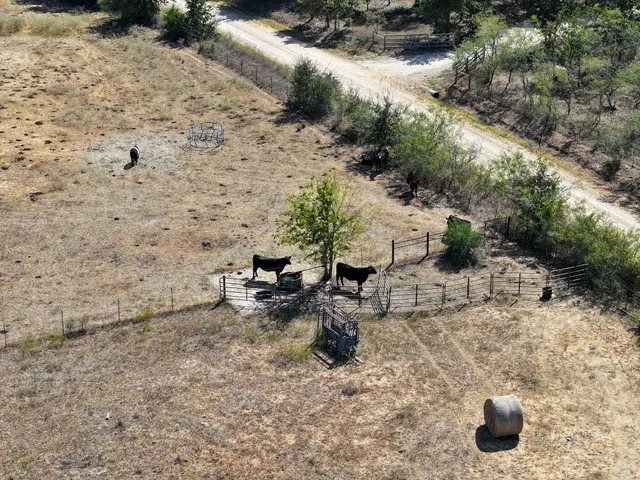a view of ocean and green field