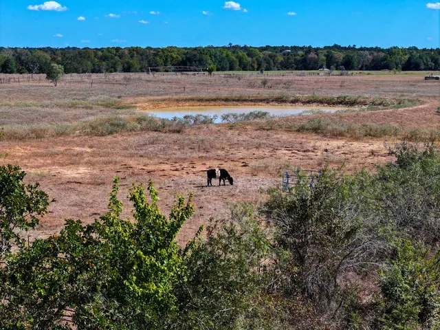a view of ocean and beach