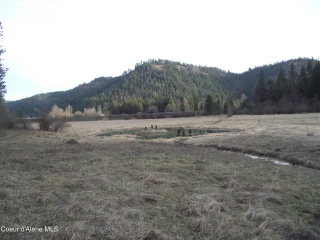 $1,800,000 | Undisclosed Address, St. Maries, ID 83861