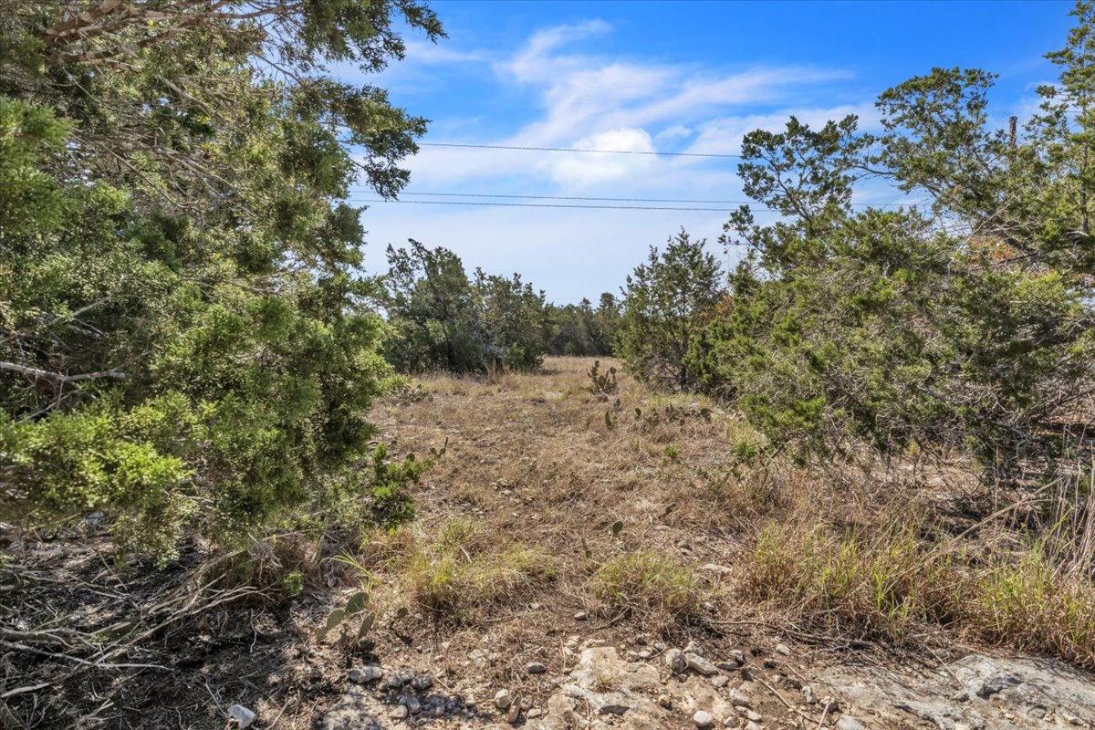 Tbd 17.9-acres Tbd 17.9-acres Altwein Road Blanco, TX 78606 - Photo 11 of 30 a view of a field with plants and trees