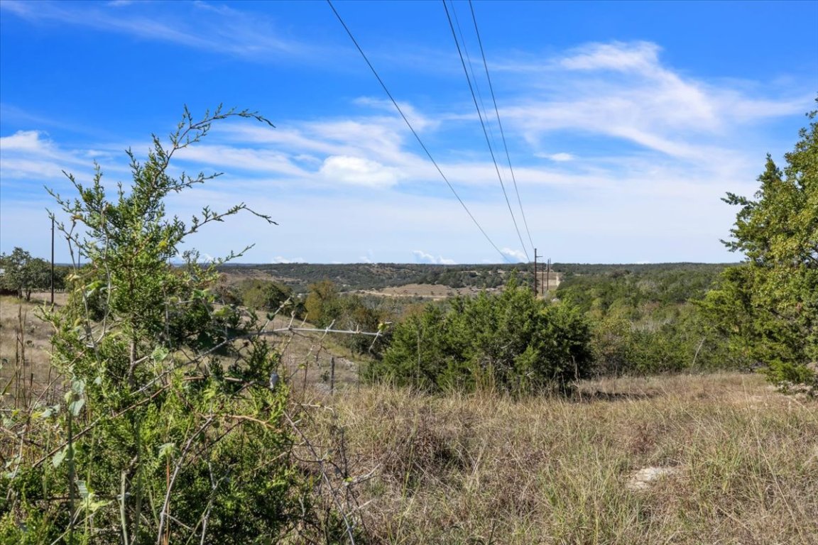 Tbd 17.9-acres Tbd 17.9-acres Altwein Road Blanco, TX 78606 - Photo 20 of 30 a view of a yard