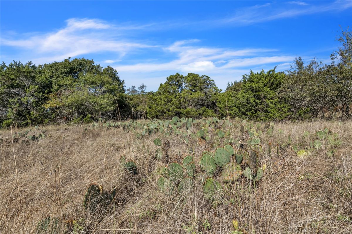 Tbd 17.9-acres Tbd 17.9-acres Altwein Road Blanco, TX 78606 - Photo 21 of 30 a view of a field with a tree in the background