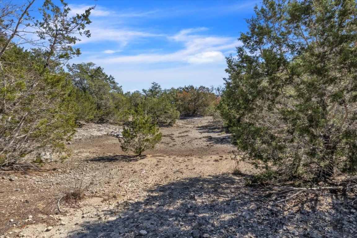 Tbd 17.9-acres Tbd 17.9-acres Altwein Road Blanco, TX 78606 - Photo 23 of 30 a view of a dry yard with trees