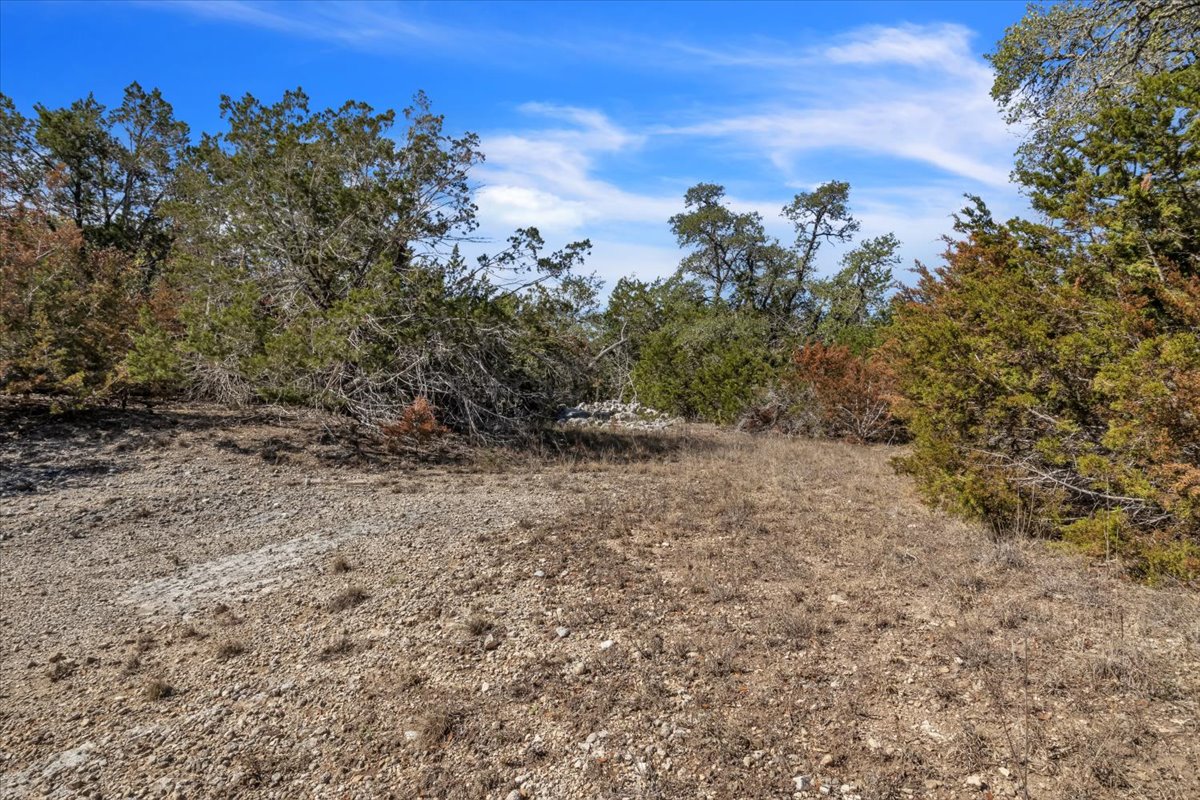 Tbd 17.9-acres Tbd 17.9-acres Altwein Road Blanco, TX 78606 - Photo 24 of 30 a view of a dry yard with trees