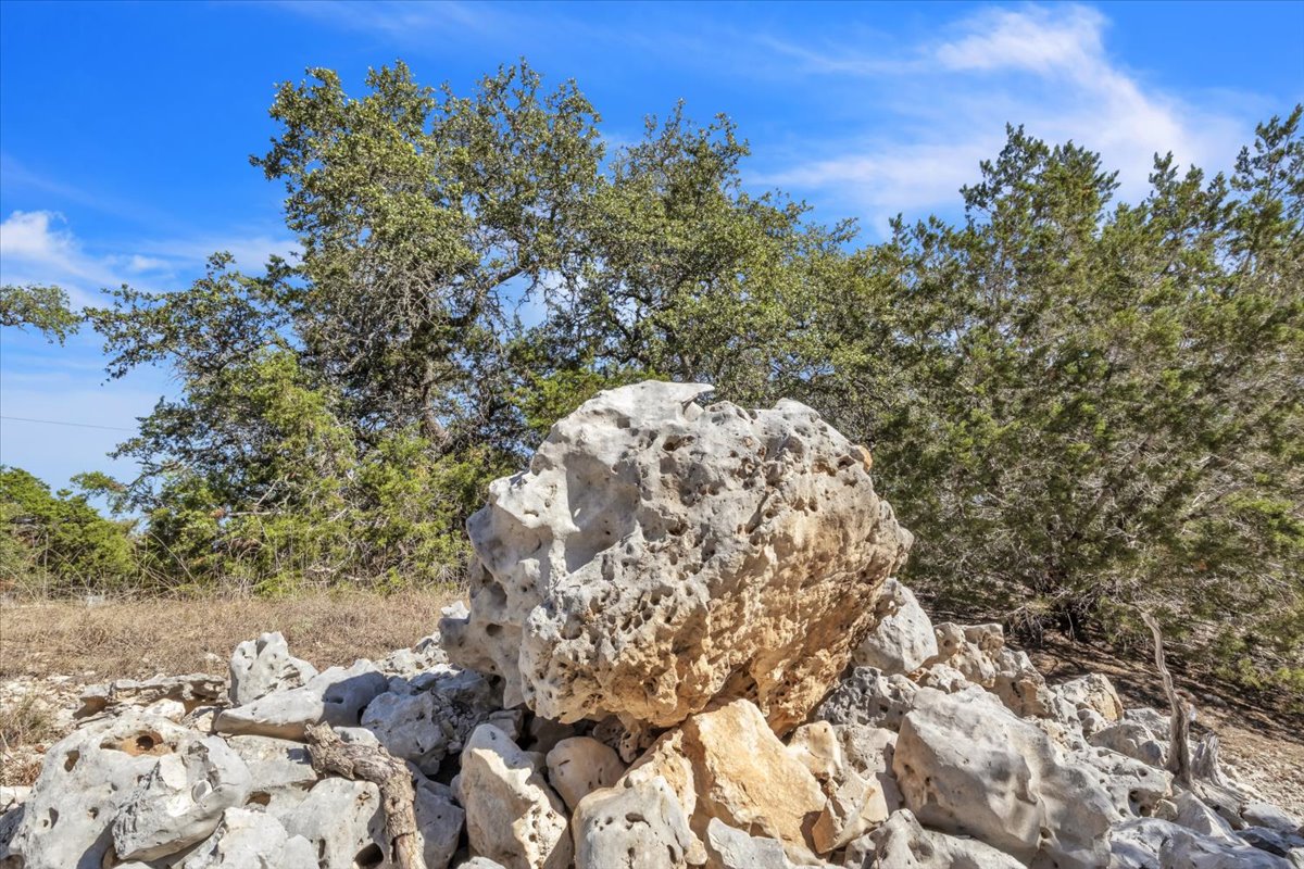 Tbd 17.9-acres Tbd 17.9-acres Altwein Road Blanco, TX 78606 - Photo 25 of 30 a view of a yard with a tree