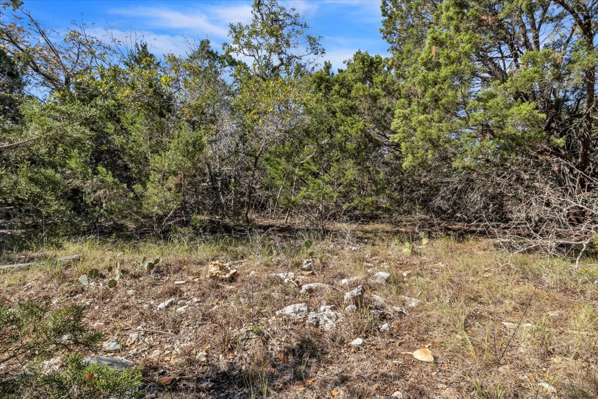Tbd 17.9-acres Tbd 17.9-acres Altwein Road Blanco, TX 78606 - Photo 29 of 30 a view of a yard with a tree