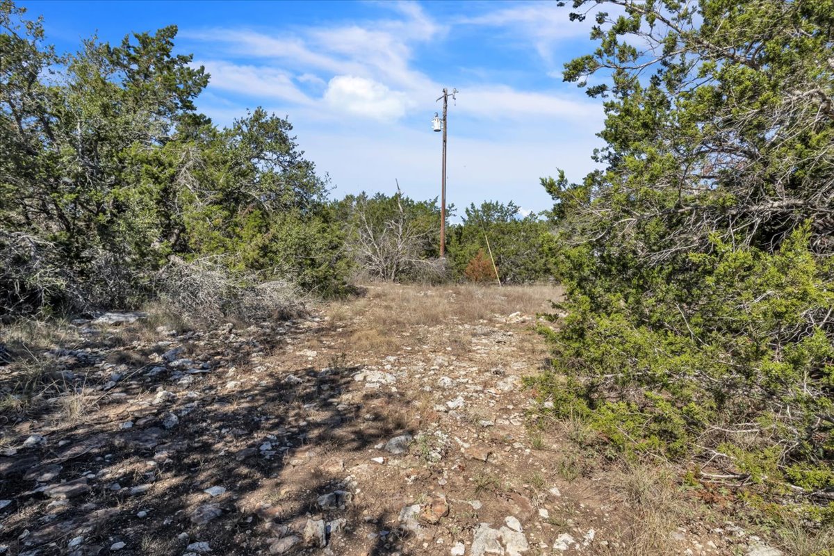 Tbd 17.9-acres Tbd 17.9-acres Altwein Road Blanco, TX 78606 - Photo 30 of 30 a view of a forest with a tree