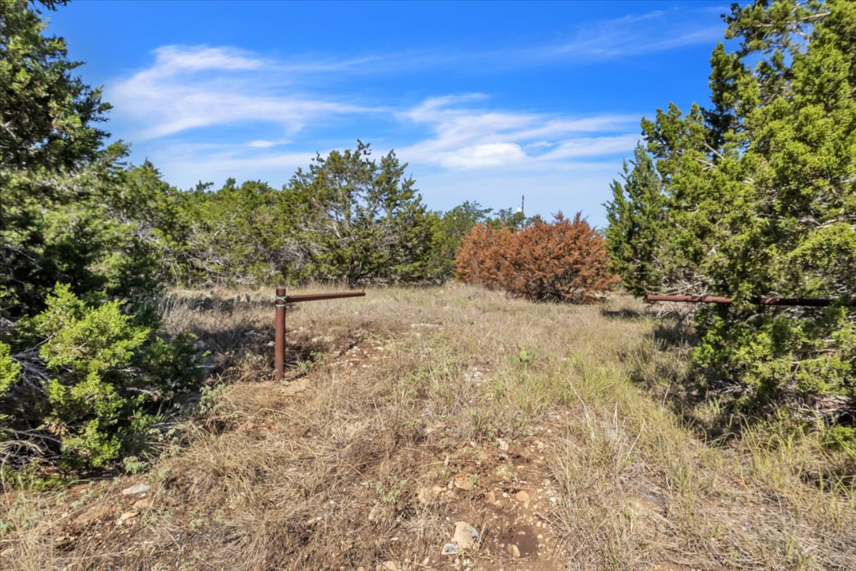 Tbd 17.9-acres Tbd 17.9-acres Altwein Road Blanco, TX 78606 - Photo 7 of 30 a view of a yard with a tree