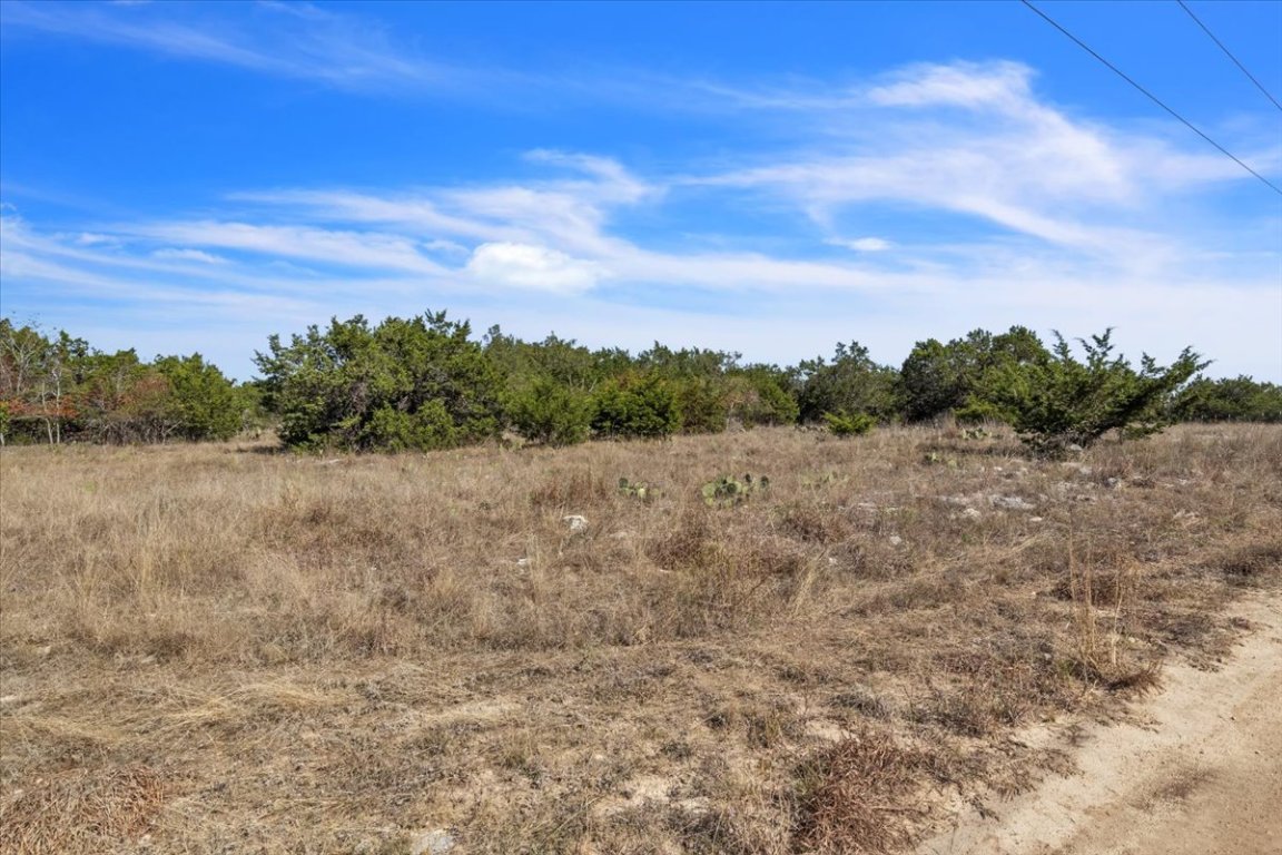 Tbd 17.9-acres Tbd 17.9-acres Altwein Road Blanco, TX 78606 - Photo 10 of 30 a view of a field with trees in the background