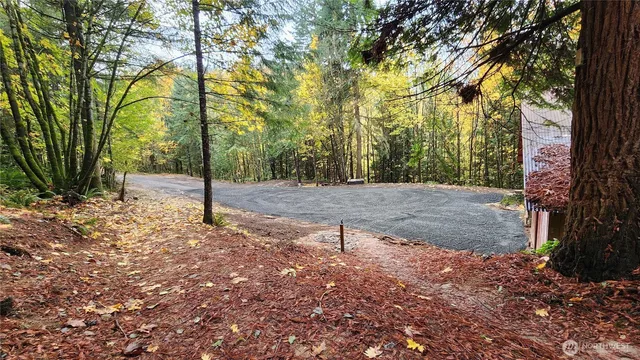 a view of a tree in the middle of a yard