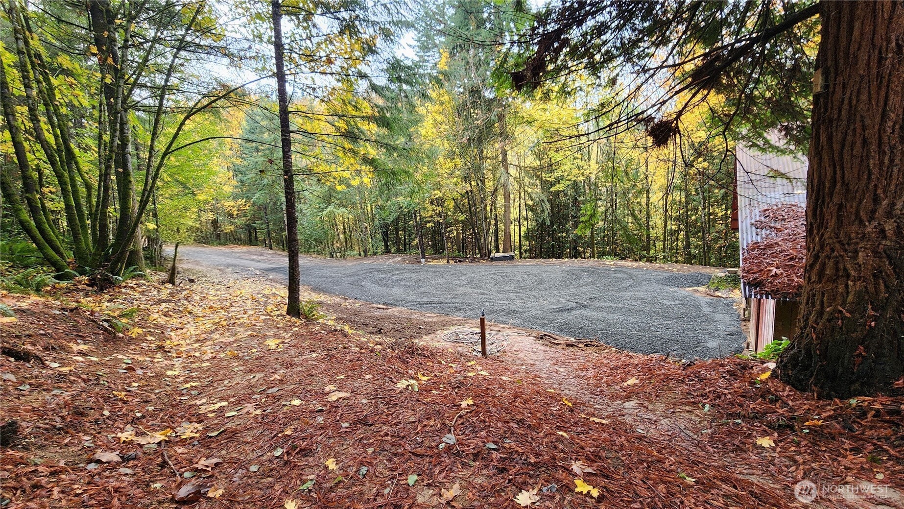 8045 Prather Road Southwest Centralia, WA 98531 - Photo 26 of 33 a view of a tree in the middle of a yard