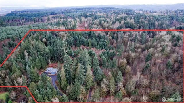 a view of a bunch of flowers