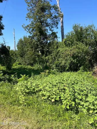 $18,000 | Old River, Vidalia, LA 71373