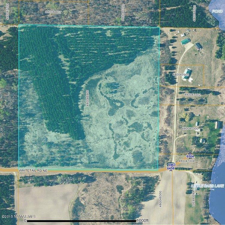 Whitetail Road Northeast Bemidji, MN 56601 - Photo 1 of 1 Gallery Image 1