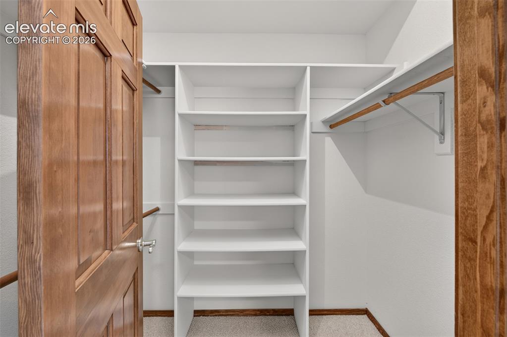 155 Pontiac Loop Monument, CO 80132 - Photo 25 of 50 Basement Bedroom Walk-In Closet