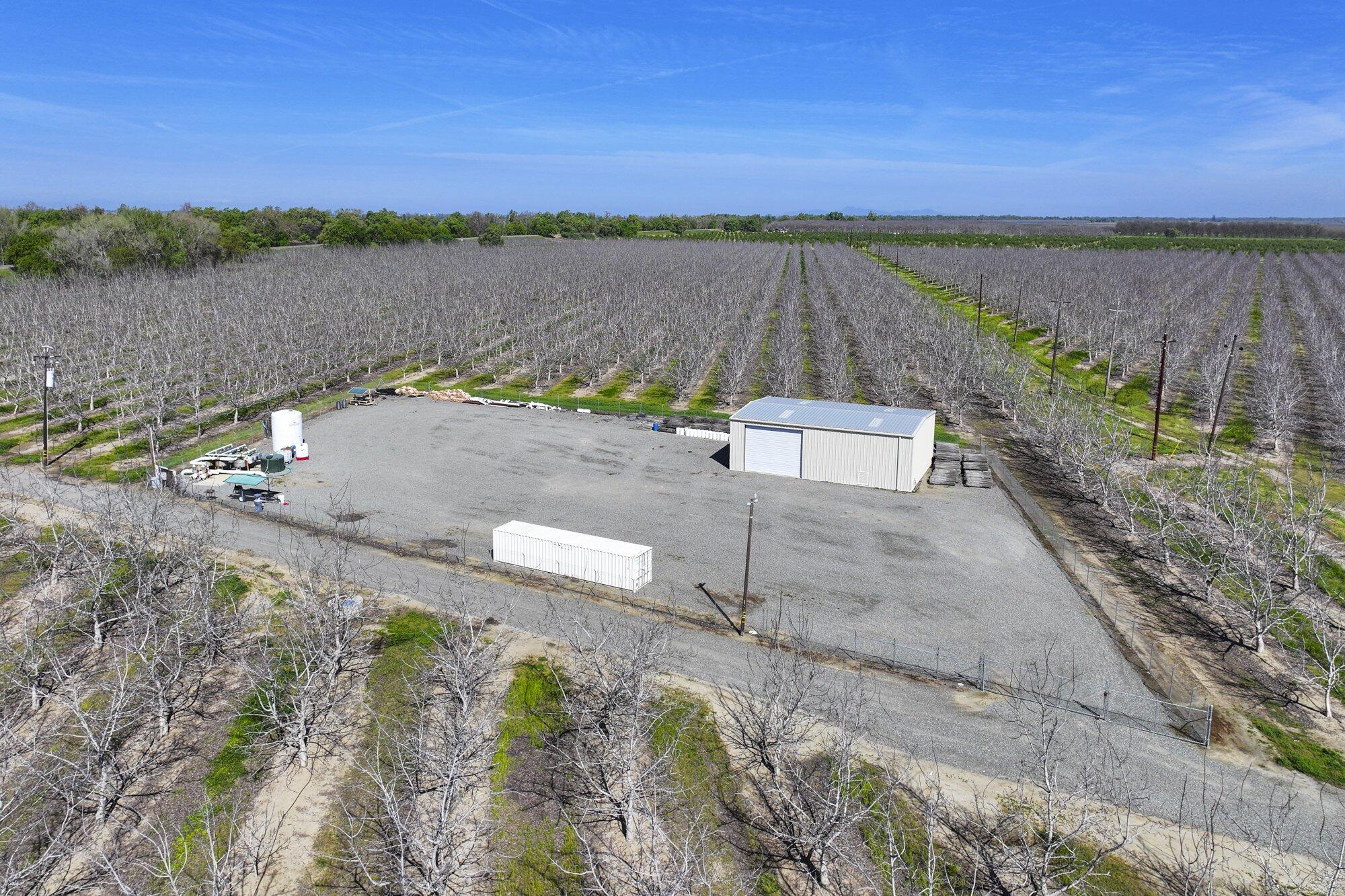 6375 Vernon Road Nicolaus, CA 95659 - Photo 4 of 12 2024-04-02-Schuil-Farms-For-Sale-367-Ac-