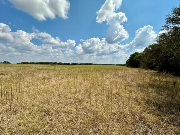 $599,000 | 323 Hasse Tx 76442, Comanche, TX 76442