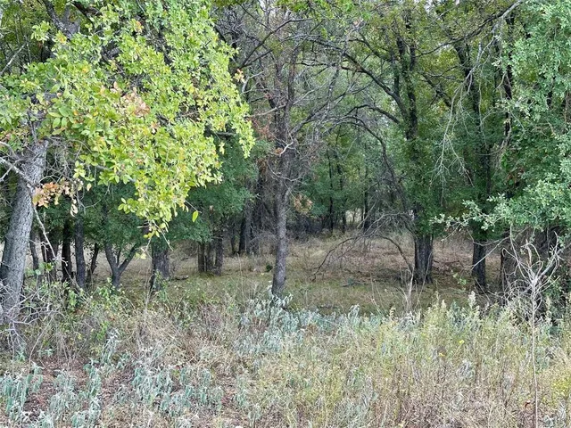a big yard with lots of green space and deers