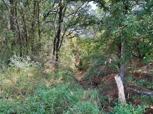 an aerial view of residential house with outdoor space and trees all around