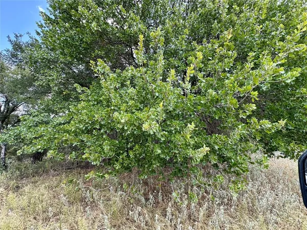 $599,000 | 323 Hasse Tx 76442, Comanche, TX 76442