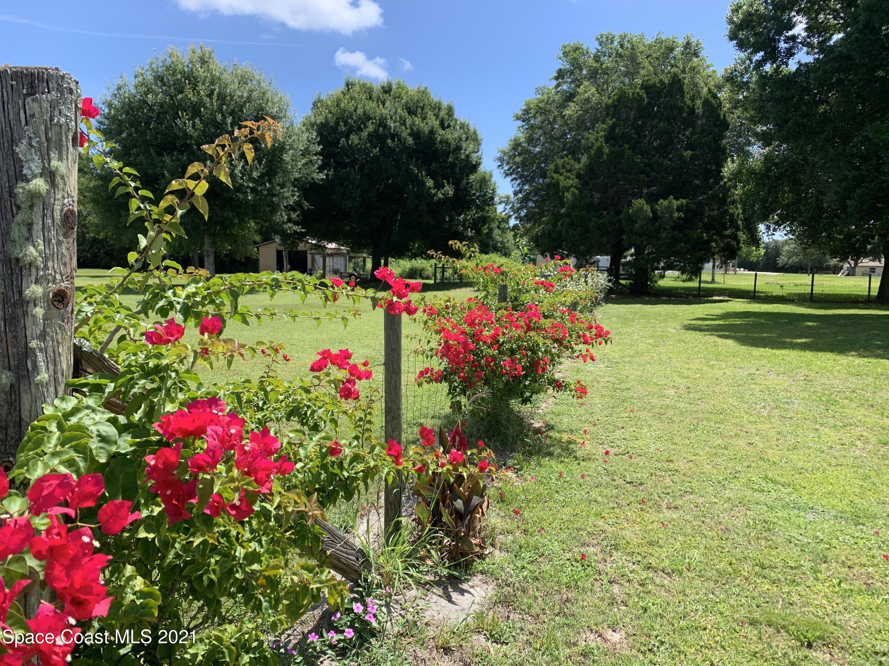 3155 Lionel Road Mims, FL 32754 - Photo 58 of 61 blooming flowers