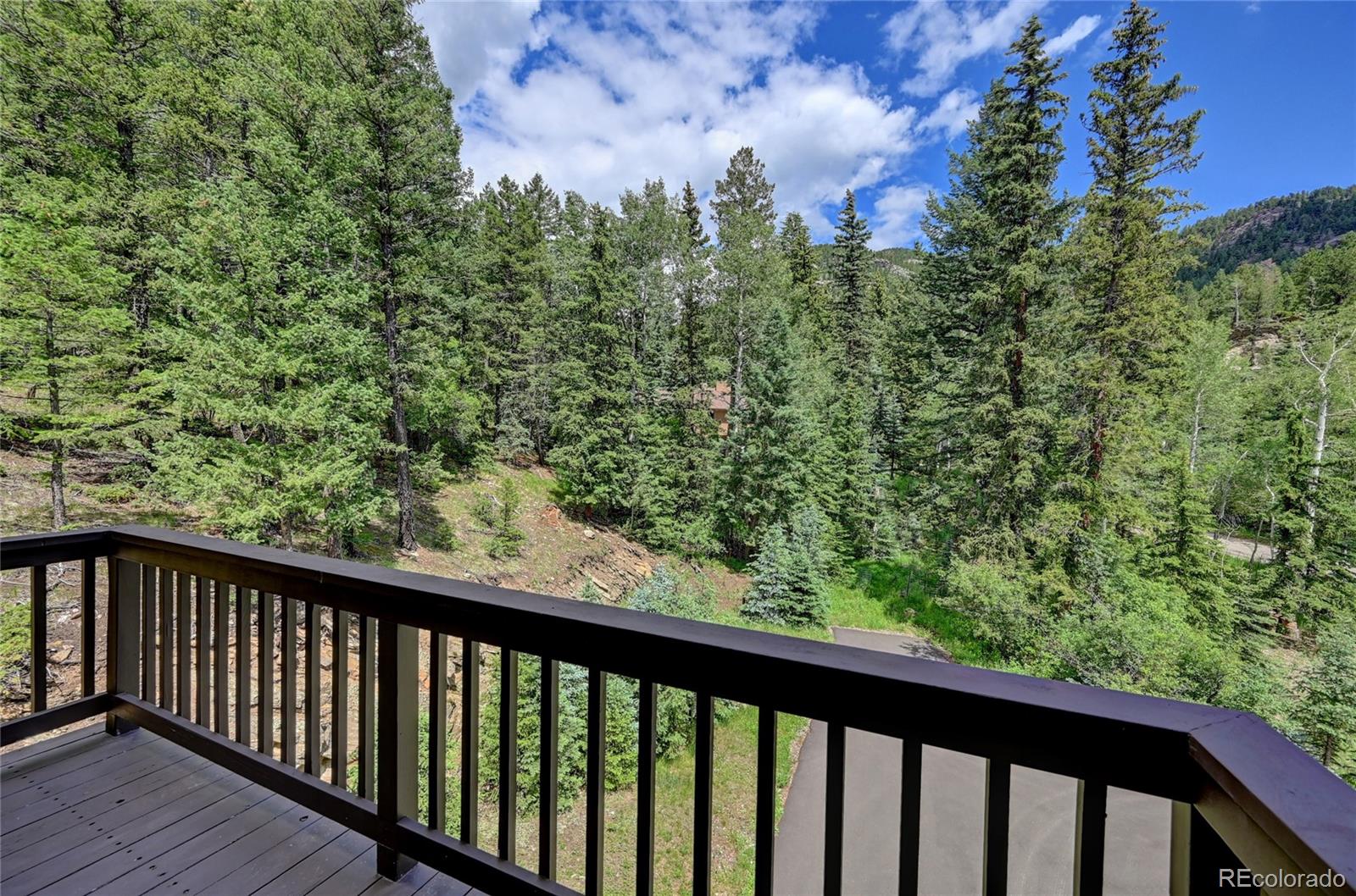 2225 Witter Gulch Road Evergreen, CO 80439 - Photo 25 of 40 Gallery Image 25