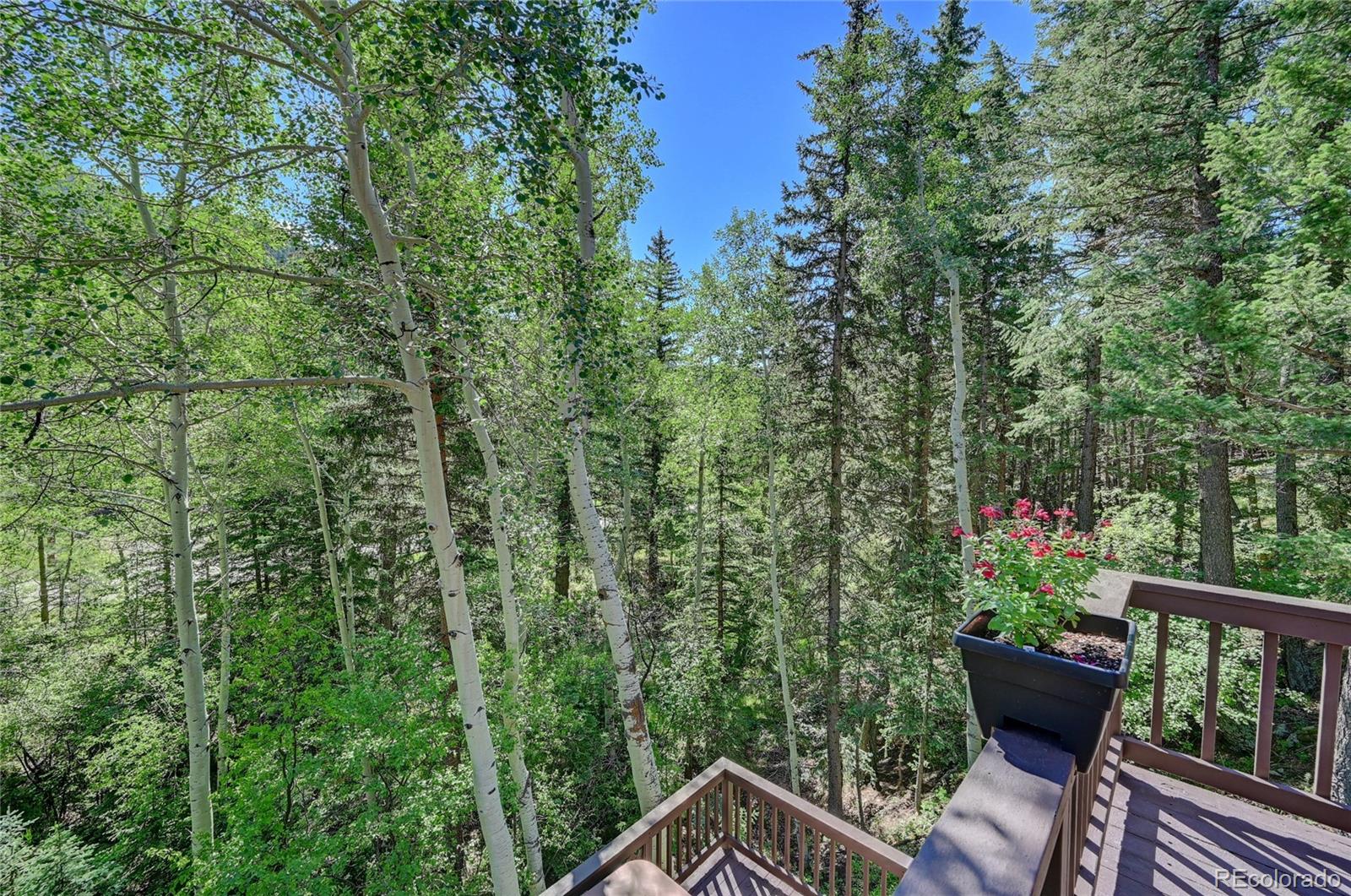2225 Witter Gulch Road Evergreen, CO 80439 - Photo 33 of 40 Gallery Image 33