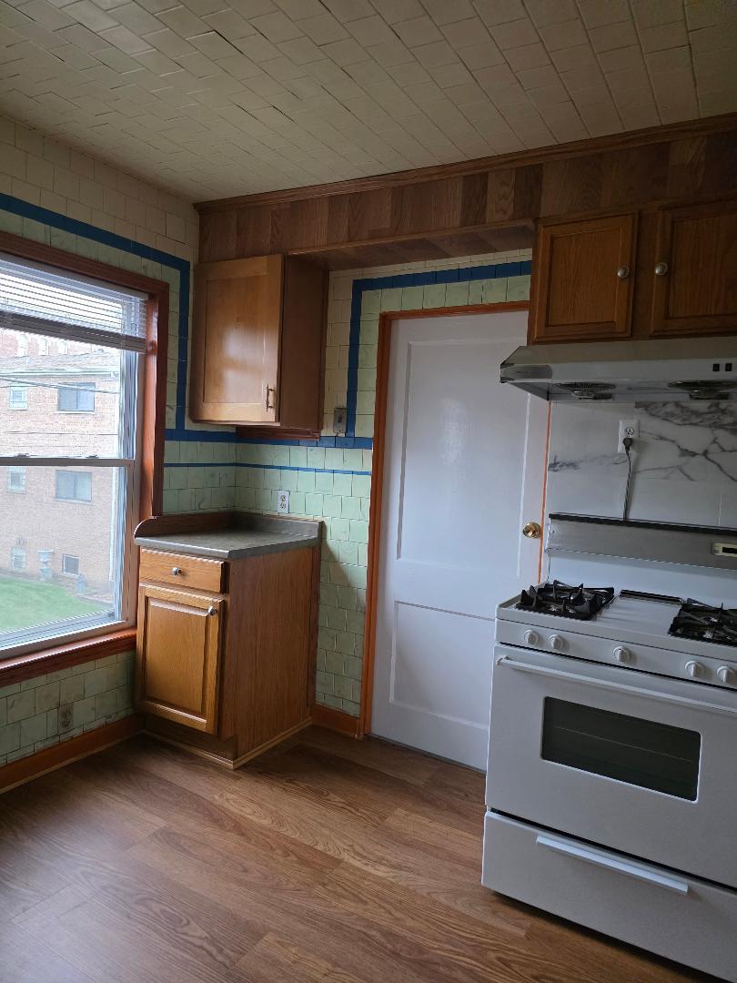 2632 South Princeton Avenue, Unit 2 Chicago, IL 60616 - Photo 2 of 13 a kitchen with a stove and a microwave