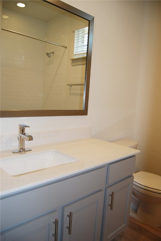 640 Peace Pipe Way Georgetown, TX 78628 - Photo 20 of 24 a bathroom with a sink a toilet and a mirror