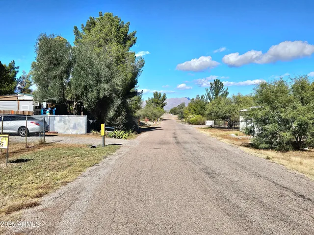 a view of a yard with tiny play house