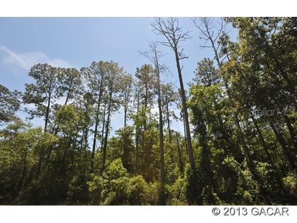 0 Northeast County Road Earleton, FL 32631 - Photo 1 of 1 a view of a city