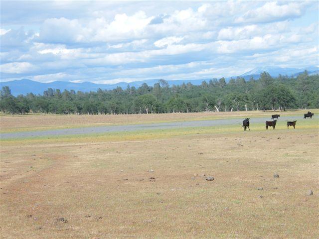 Lot 61 Hyrax Road Shingletown, CA 96088 - Photo 3 of 5 lot 61 a